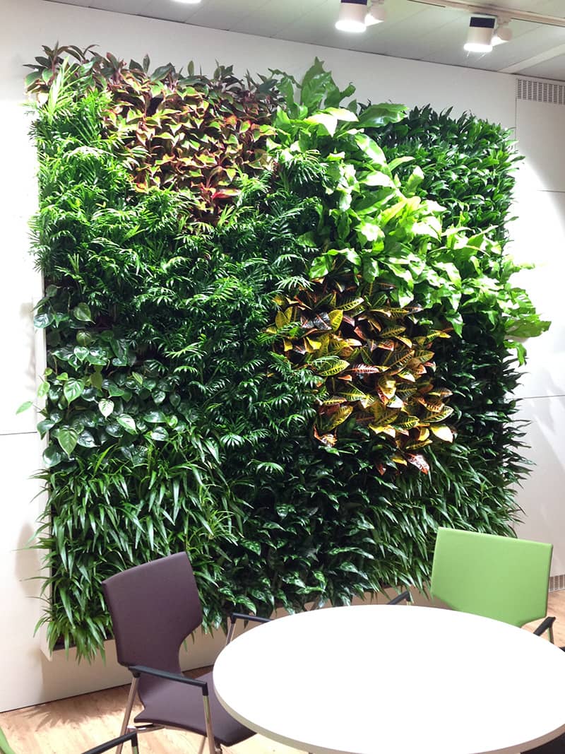green wall