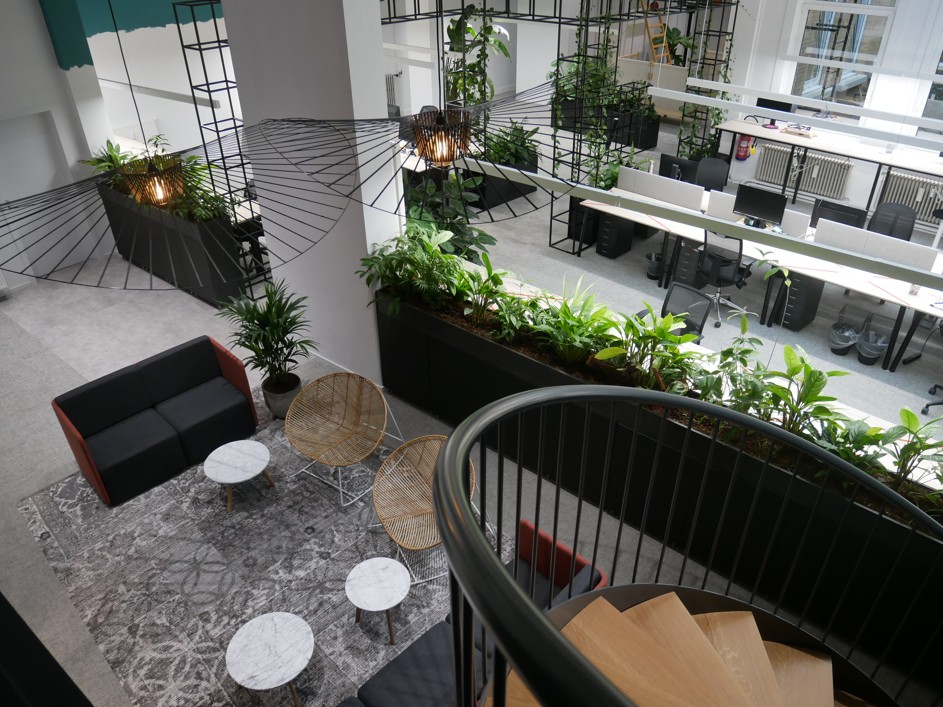 Board of innovation office plants
