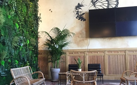A touch of green in your interior
